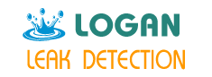 You are currently viewing Shower Leak Detection Logan
