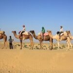 Camel-Safari-in-Rajasthans-Magical-Thar-Desert.jpg