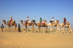 Read more about the article Experience a Unique Camel Safari in the Thar Desert, Rajasthan