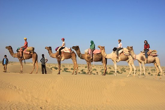 You are currently viewing Experience a Unique Camel Safari in the Thar Desert, Rajasthan