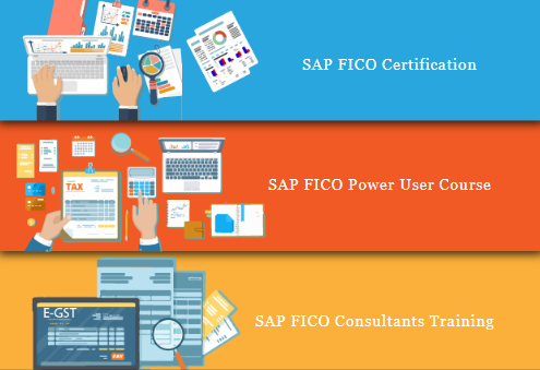 Read more about the article Join SAP FICO Training Course in Laxmi Nagar Delhi with Free SAP Access Server